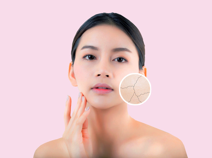“Aloe vera soap for soothing dry and sensitive skin”  “Coconut milk soap for deep hydration”  “Goat milk soap for gentle nourishing care”  “Milk soap for soft, moisturized skin”